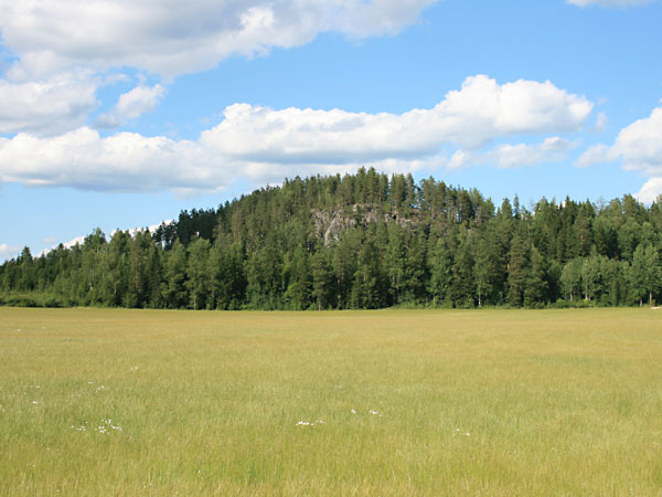 Jaanankallio